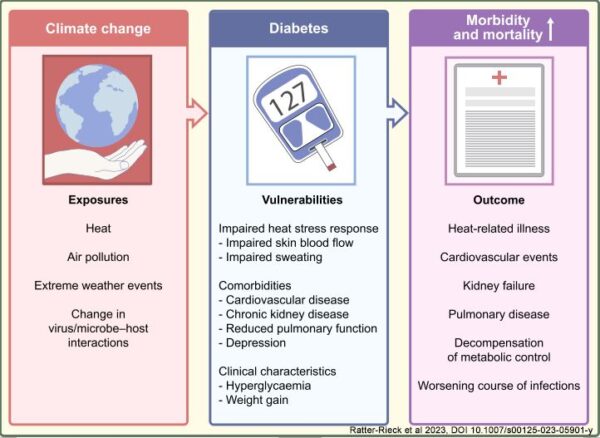 Diabetes Author Guidelines: Write with Accuracy & Impact