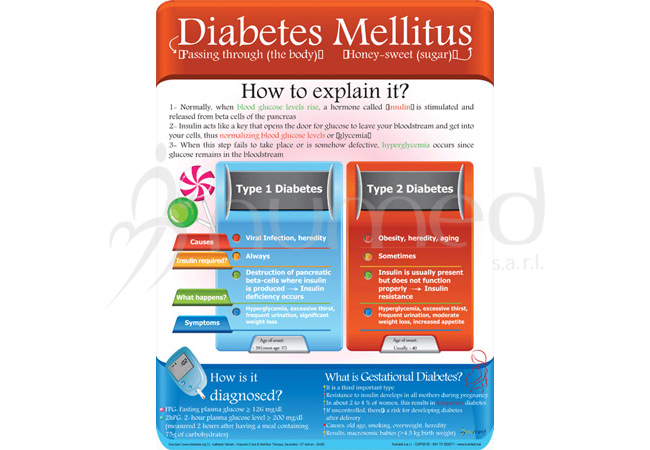 Explain Diabetes to Me: A Simple, Trusted Guide for Beginners
