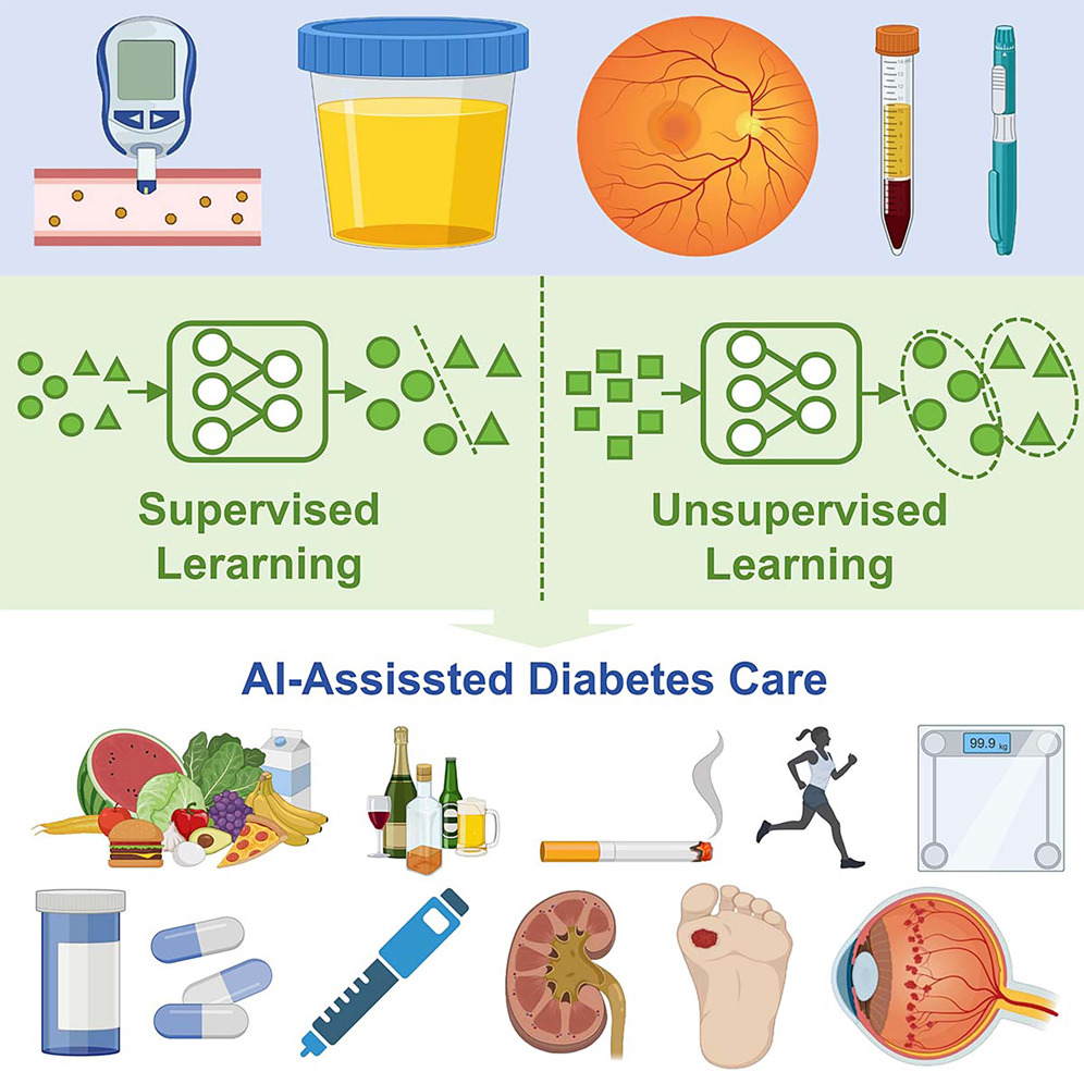 Is RL Safe in Diabetes? What You Need to Know