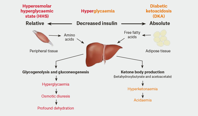 What Is HHS in Diabetes? A Life-Threatening Emergency Explained